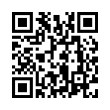 QR Code (код быстрого отклика)