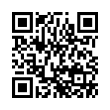 QR Code (код быстрого отклика)