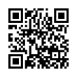 QR Code (код быстрого отклика)