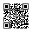 QR Code (код быстрого отклика)