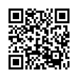 QR Code (код быстрого отклика)