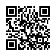 QR Code (код быстрого отклика)