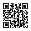 QR Code (код быстрого отклика)