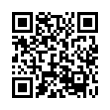 QR Code (код быстрого отклика)