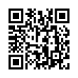 QR Code (код быстрого отклика)