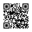 QR Code (код быстрого отклика)