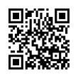 QR Code (код быстрого отклика)