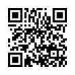 QR Code (код быстрого отклика)