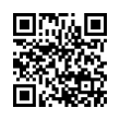 QR Code (код быстрого отклика)