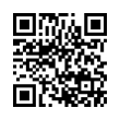 QR Code (код быстрого отклика)