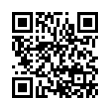 QR Code (код быстрого отклика)