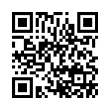 QR Code (код быстрого отклика)