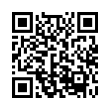 QR Code (код быстрого отклика)