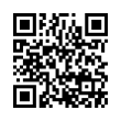 QR Code (код быстрого отклика)