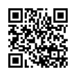 QR Code (код быстрого отклика)