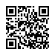 QR Code (код быстрого отклика)