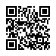 QR Code (код быстрого отклика)