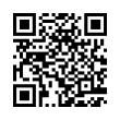 QR Code (код быстрого отклика)