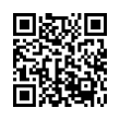 QR Code (код быстрого отклика)