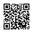 QR Code (код быстрого отклика)