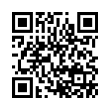 QR Code (код быстрого отклика)