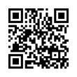 QR Code (код быстрого отклика)