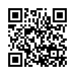 QR Code (код быстрого отклика)