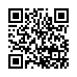 QR Code (код быстрого отклика)