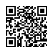 QR Code (код быстрого отклика)