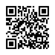 QR Code (код быстрого отклика)