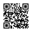 QR Code (код быстрого отклика)