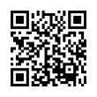 QR Code (код быстрого отклика)