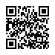 QR Code (код быстрого отклика)