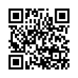 QR Code (код быстрого отклика)