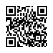 QR Code (код быстрого отклика)