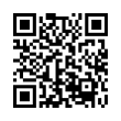 QR Code (код быстрого отклика)