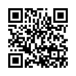 QR Code (код быстрого отклика)