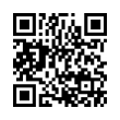 QR Code (код быстрого отклика)