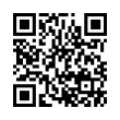 QR Code (код быстрого отклика)