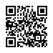 QR Code (код быстрого отклика)