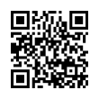 QR Code (код быстрого отклика)