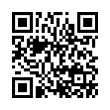 QR Code (код быстрого отклика)