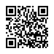 QR Code (код быстрого отклика)