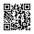 QR Code (код быстрого отклика)