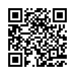 QR Code (код быстрого отклика)