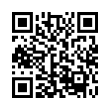 QR Code (код быстрого отклика)