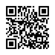 QR Code (код быстрого отклика)