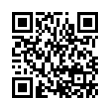 QR Code (код быстрого отклика)