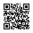 QR Code (код быстрого отклика)