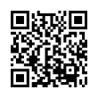 QR Code (код быстрого отклика)